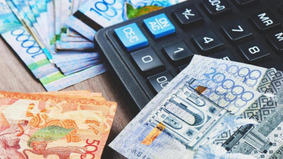 Пособия по инвалидности: более 60 млрд тенге выплачено казахстанцам
