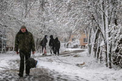 Вице-губернатор Подмосковья рассказал, как в области борются со снегопадом