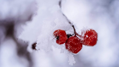 Жесткие морозы нагрянут в Татарстан в ближайшие сутки 09/02/2026 &ndash;