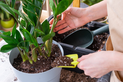 Список опытного садовода-огородника: аптечка, которая спасет весь сезон