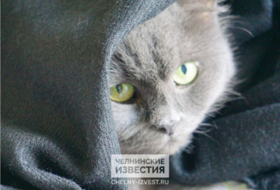 В Татарстане будет ветрено, но без снега