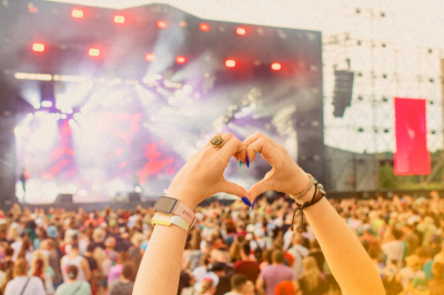 В Тульской области состоится фестиваль &laquo;Дикая Мята&raquo;