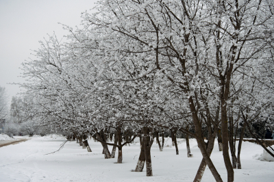 В&nbsp;Татарстане в&nbsp;начале недели сохранятся 30-градусные морозы