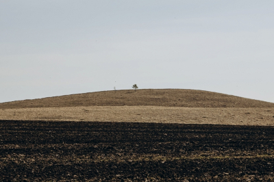 Под Елабугой выявили более четырех тысяч гектаров неиспользуемых земель