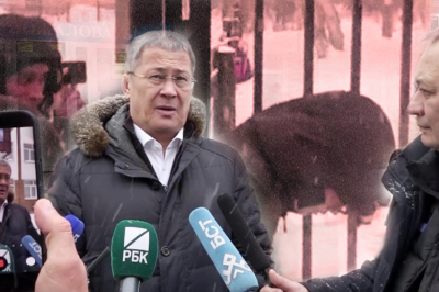 Напавшего на&nbsp;школу в&nbsp;Уфе девятиклассника отправили под домашний арест