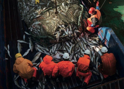 Суды разделали акционеров и топ-менеджеров &laquo;Восток-1&raquo;