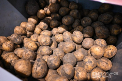 В Красном Бору в Татарстане продают картофелехранилище за 40 млн рублей