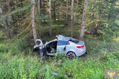 В Казани произошло 97 ДТП в выходные дни &mdash; погибли 8 человек