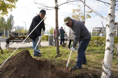 В Астане в сквере на Ташенева высадили сосны, берёзы и хвойные деревья